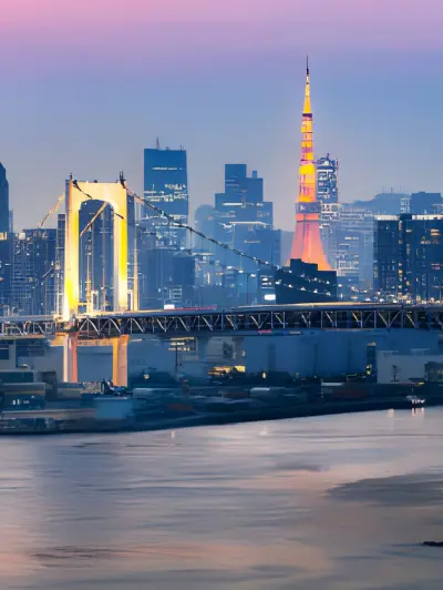 Cityscape of Tokyo at night with illuminated Tokyo Tower