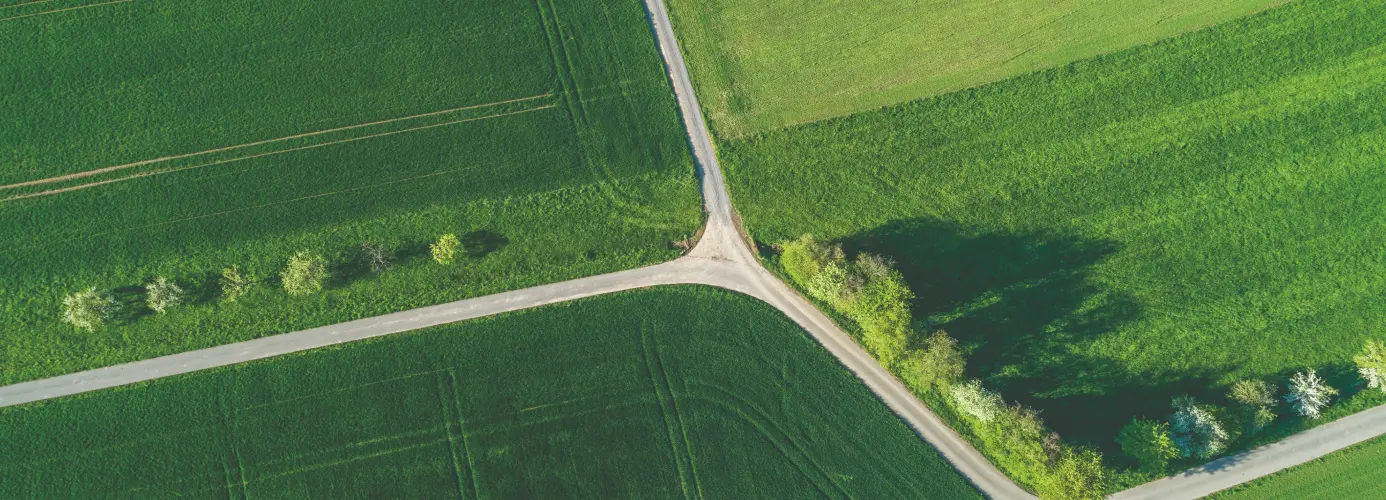 Aerial view of green agricultural fields intersected by roads