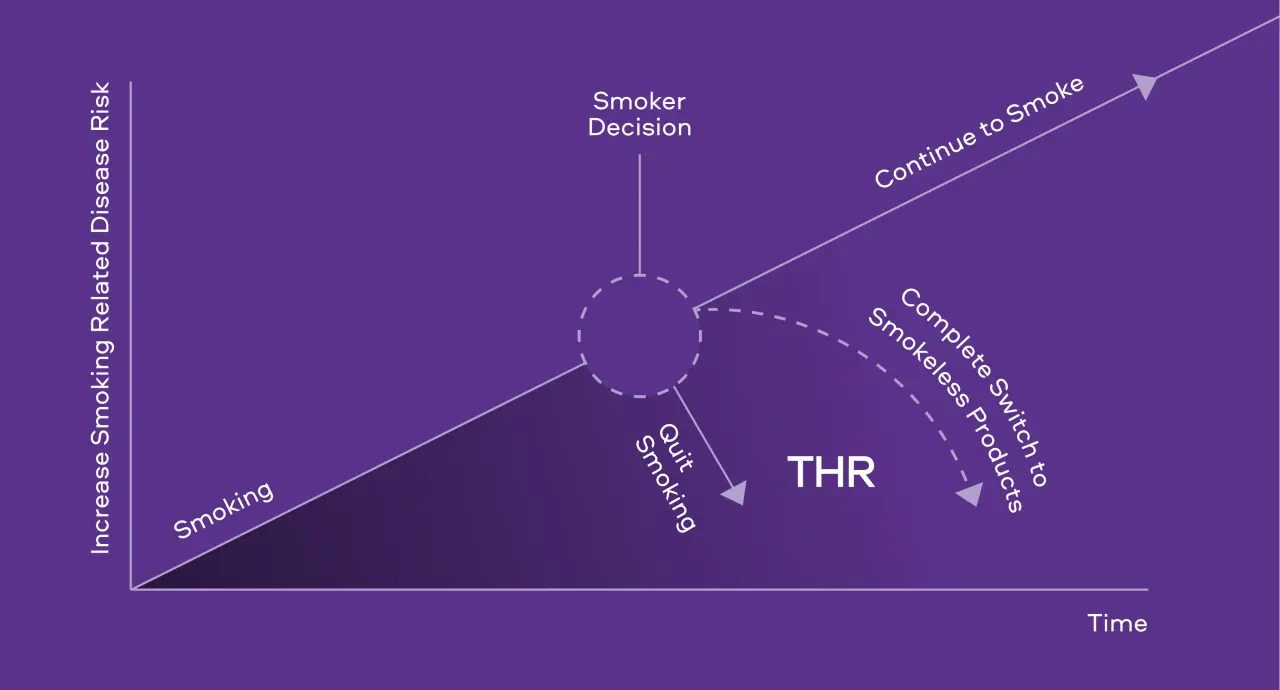 An illustrative model of THR potential
