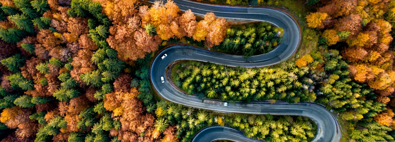 Winding road through colorful autumn forest, aerial view