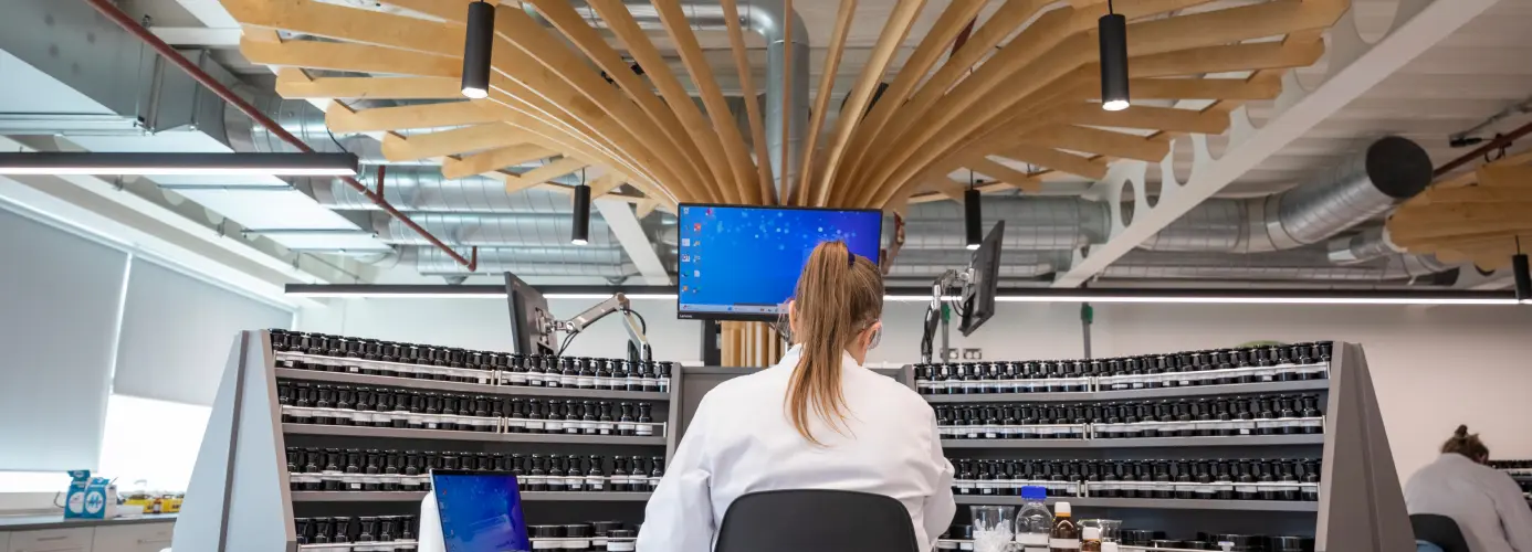 Woman working at desk with curved wooden ceiling