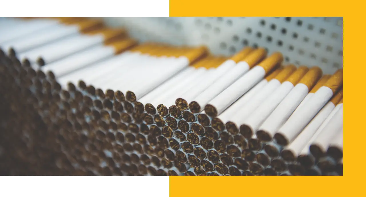 Large quantity of manufactured cigarettes lined up