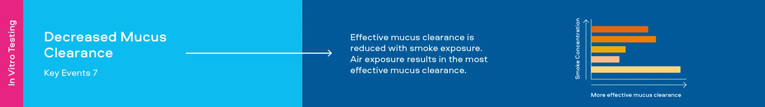 Decreased Mucus Clearance