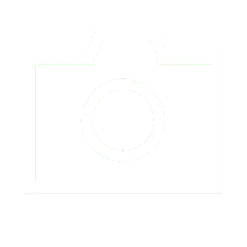 snapshot icon