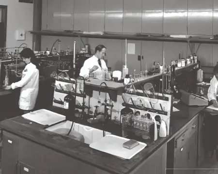 Scientists working in laboratory