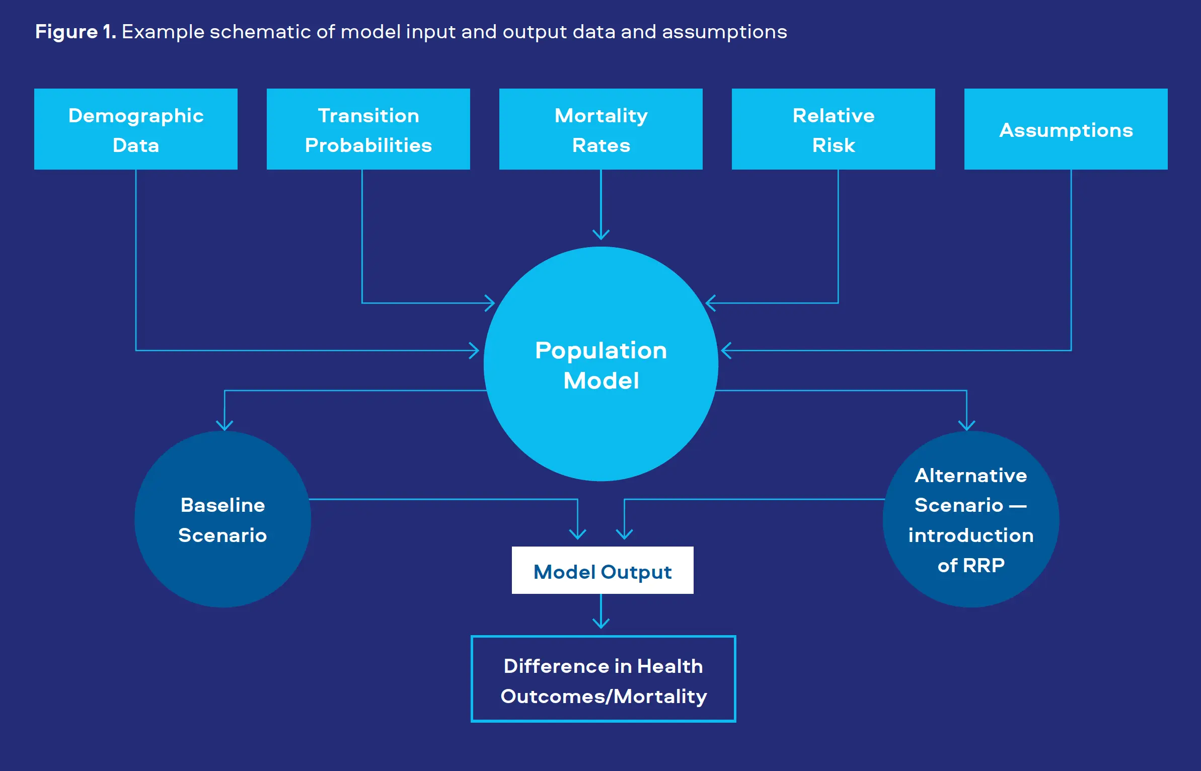 Figure 1. Example schematic of model input and output data and assumptions