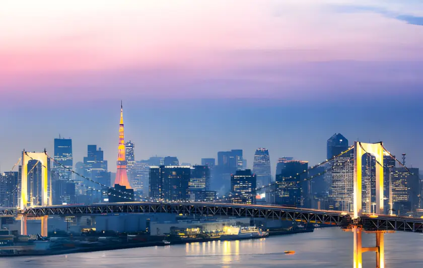 Cityscape of Tokyo at night with illuminated Tokyo Tower