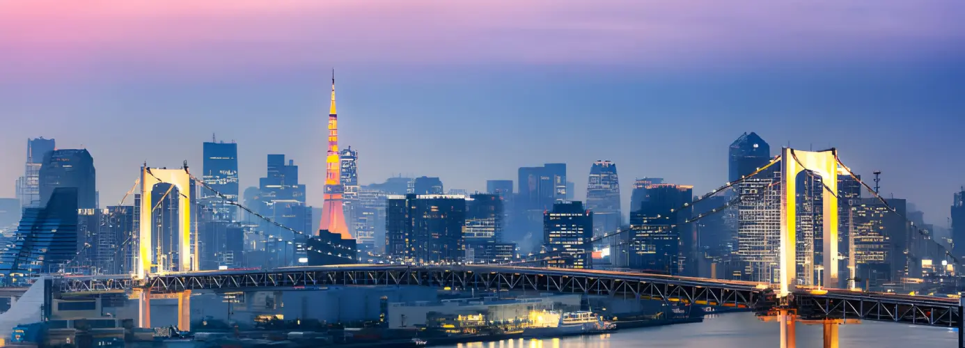 Illuminated Tokyo skyline at night with Rainbow Bridge