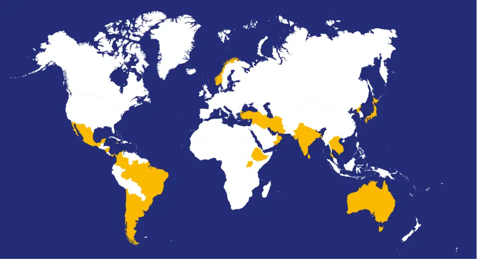 World map highlighting certain countries in yellow